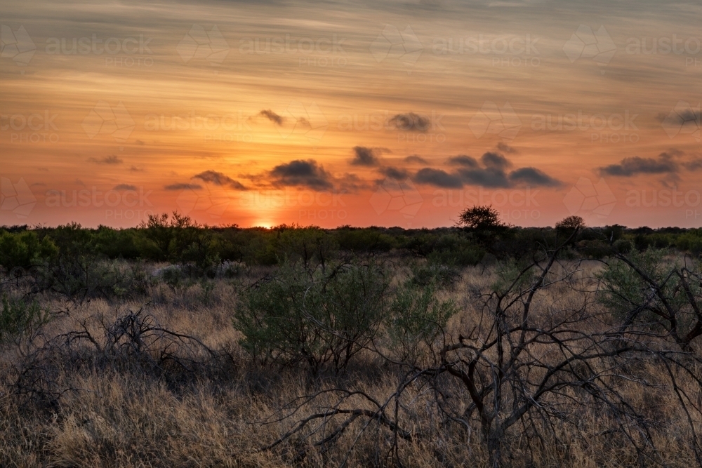 Moody sunrise in rural bush setting in Western Australia - Australian Stock Image