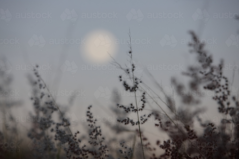 Moon rising over landscape - Australian Stock Image