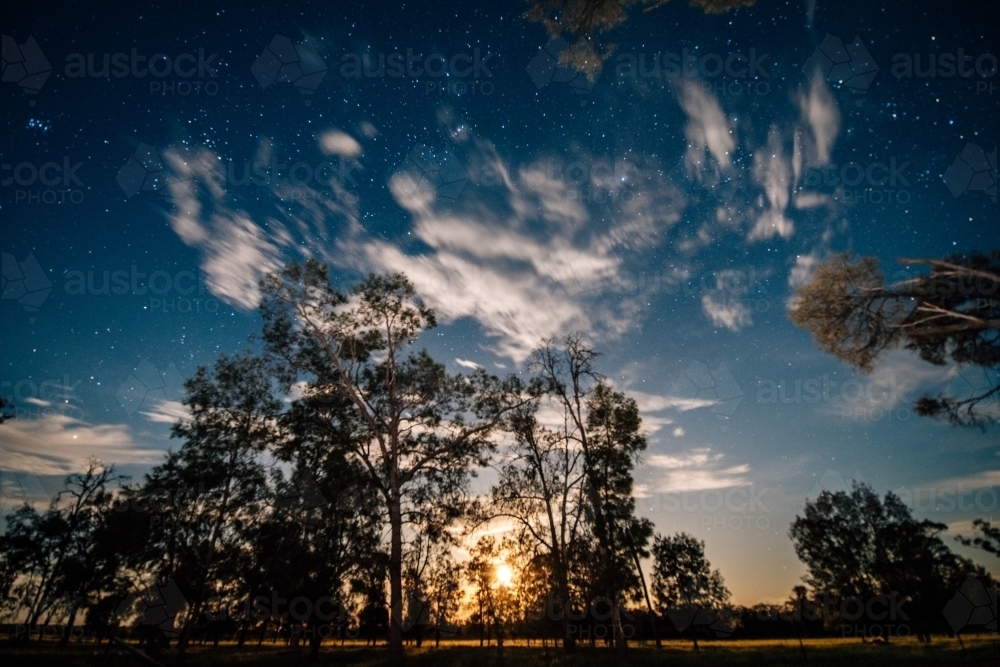 Moon rising through trees with stars in the sky - Australian Stock Image