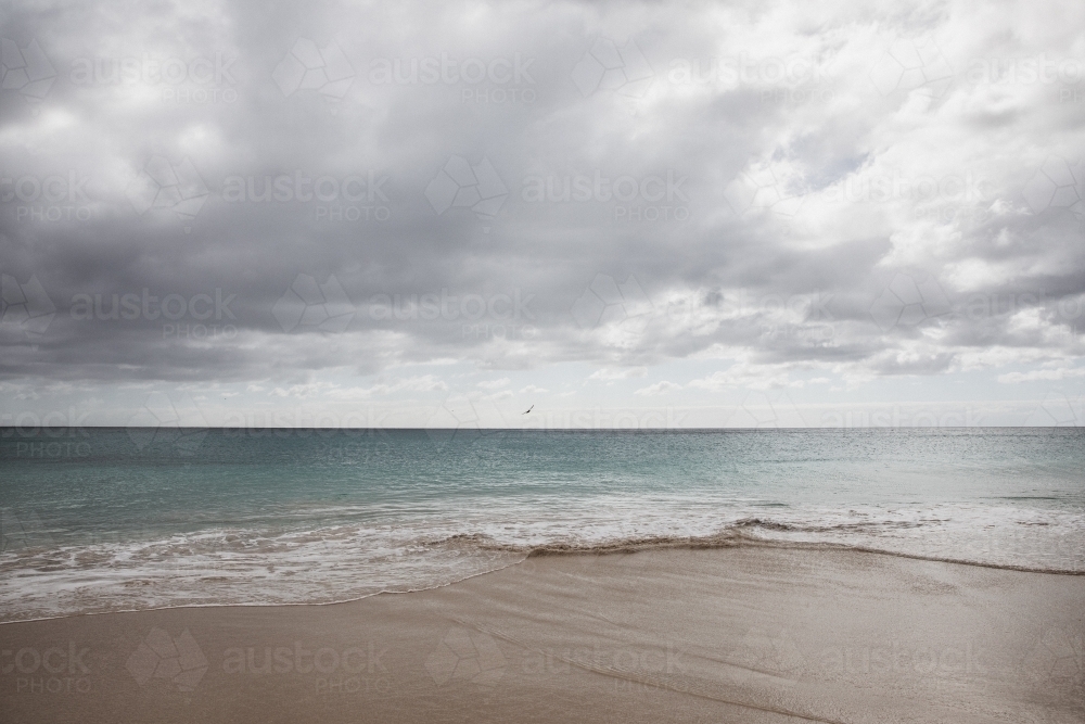 Morning Beach Walk - Australian Stock Image