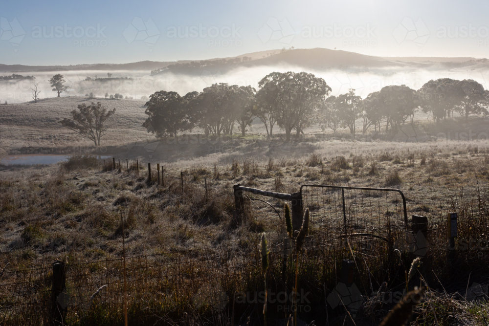 Morning fog illuminated by sunlight in regional Australia - Australian Stock Image