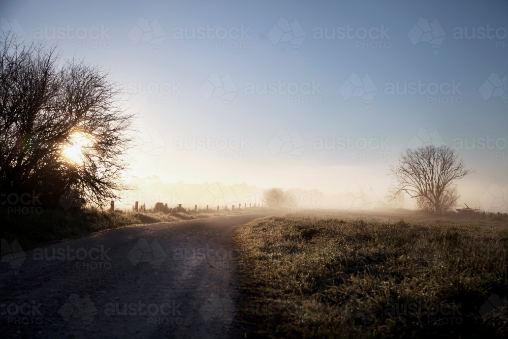 Morning Light along country road - Australian Stock Image