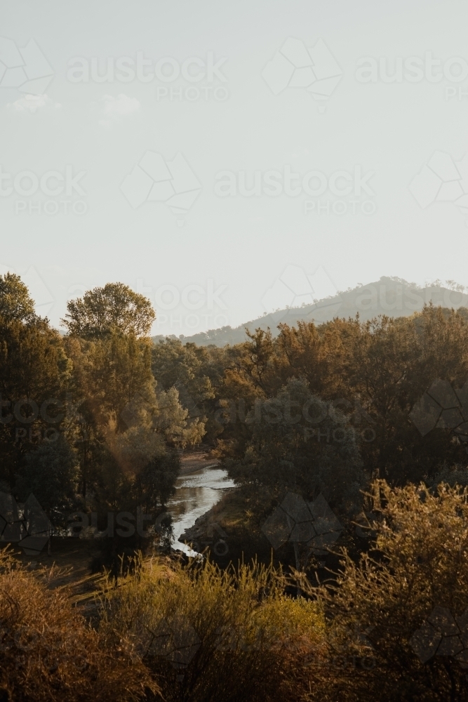 Morning light hits trees looking over Tumut River and Nimbo Creek junction between Tumut and Gundaga - Australian Stock Image