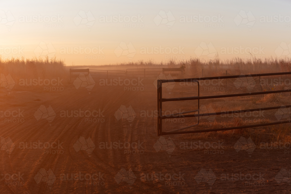 Morning light on dusty red dirt track on NT cattle station - Australian Stock Image
