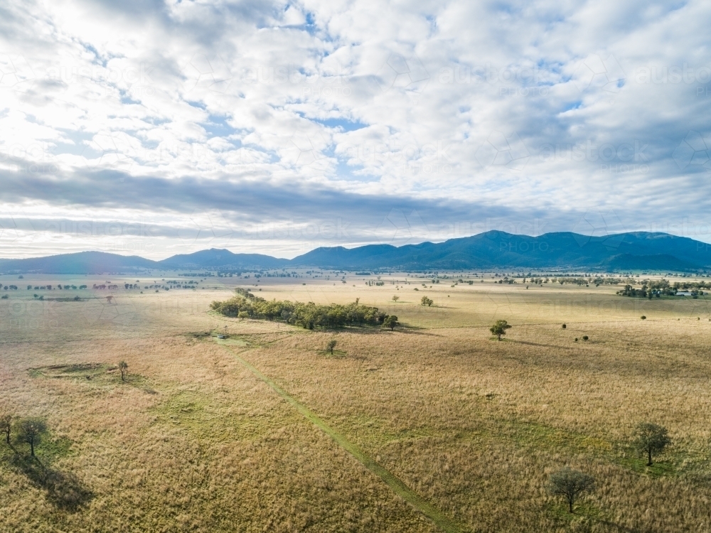 Morning light over wide paddock in australian farmland with hills on horizon - Australian Stock Image