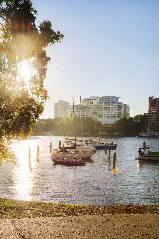 morning light over yachts on the river - Australian Stock Image
