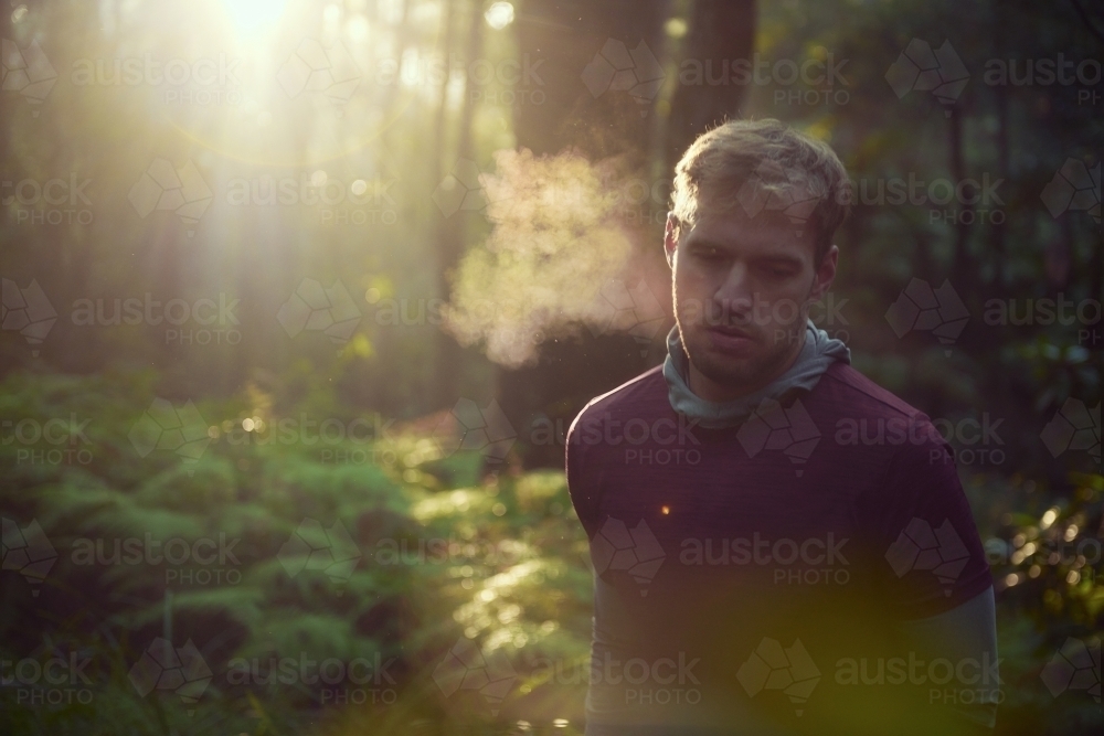 Morning Run in the Woods / Forest / Bush - Australian Stock Image