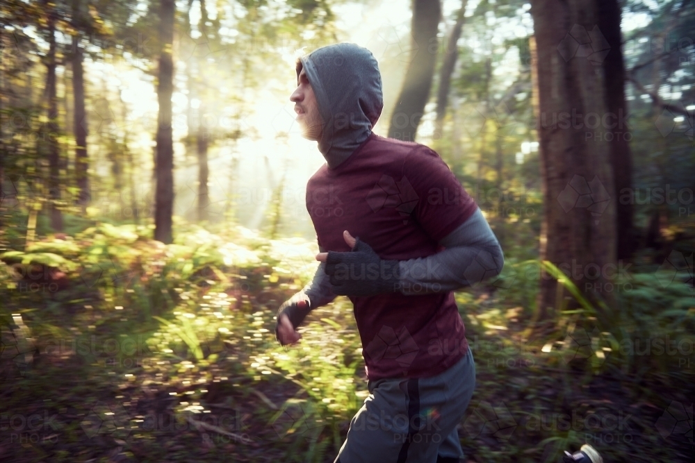 Morning Run in the Woods / Forest / Bush - Australian Stock Image