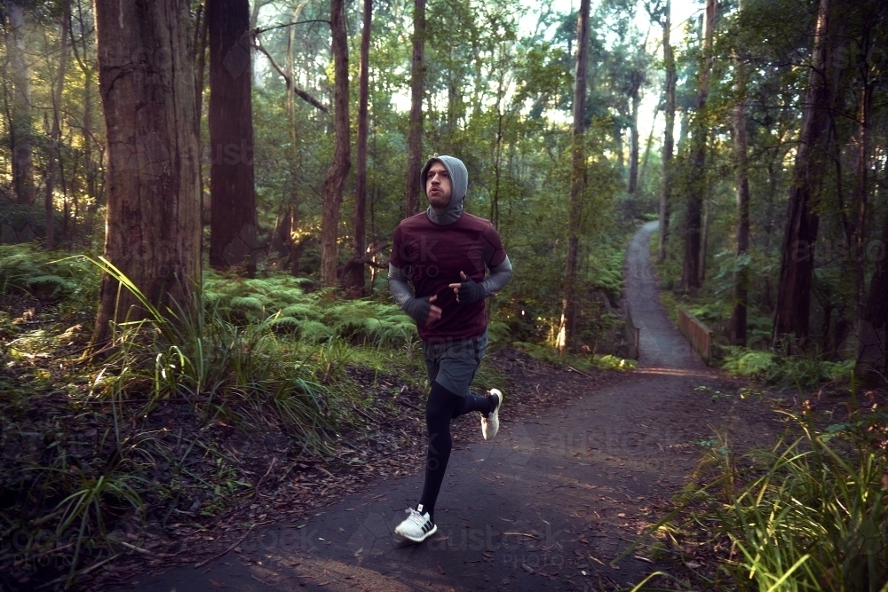 Morning Run in the Woods / Forest / Bush - Australian Stock Image