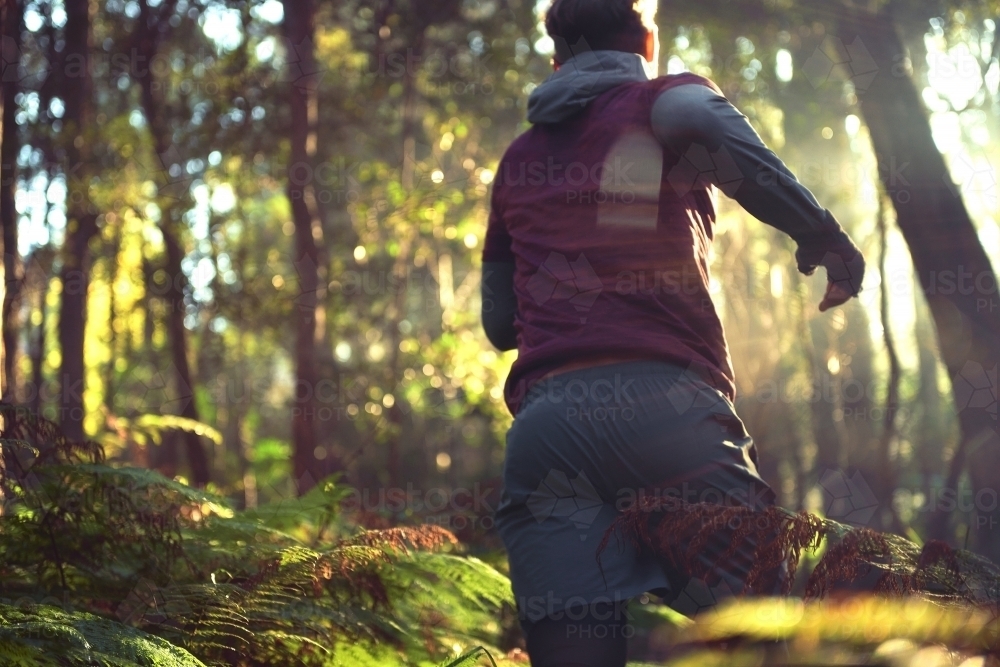 Morning Run in the Woods / Forest / Bush - Australian Stock Image