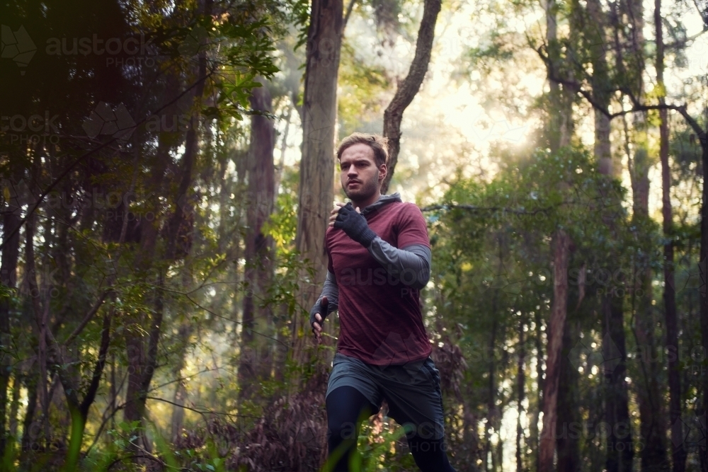 Morning Run in the Woods / Forest / Bush - Australian Stock Image