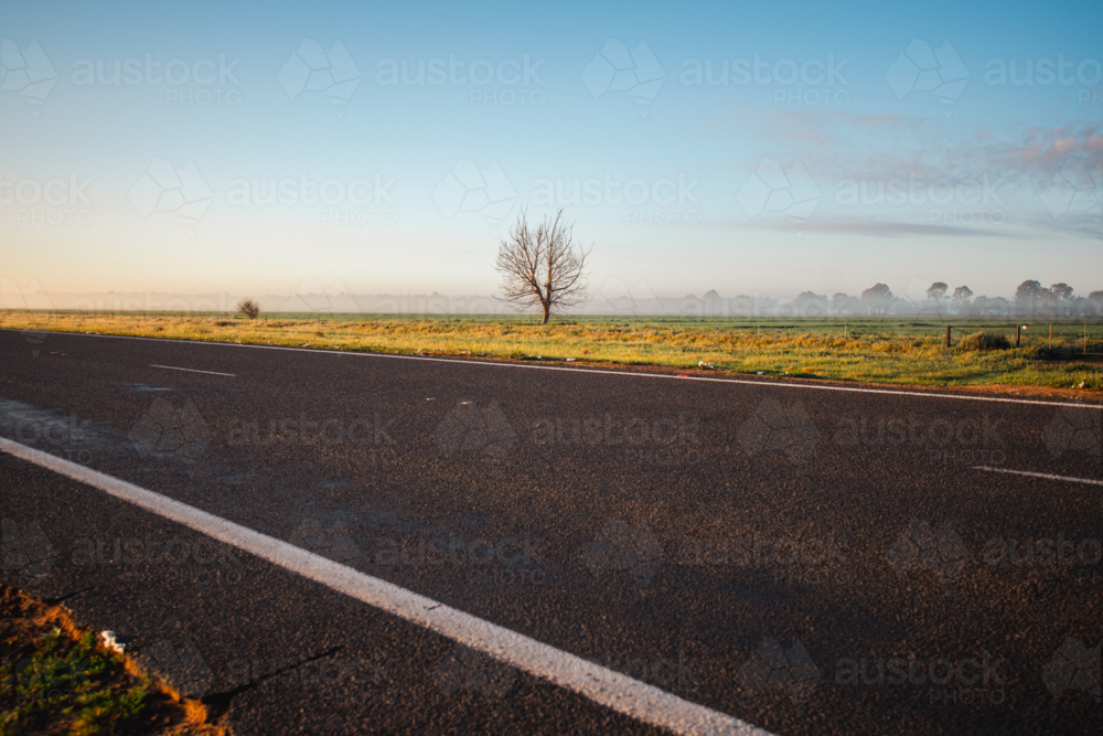 morning scenes on a road trip through rural Australia - Australian Stock Image