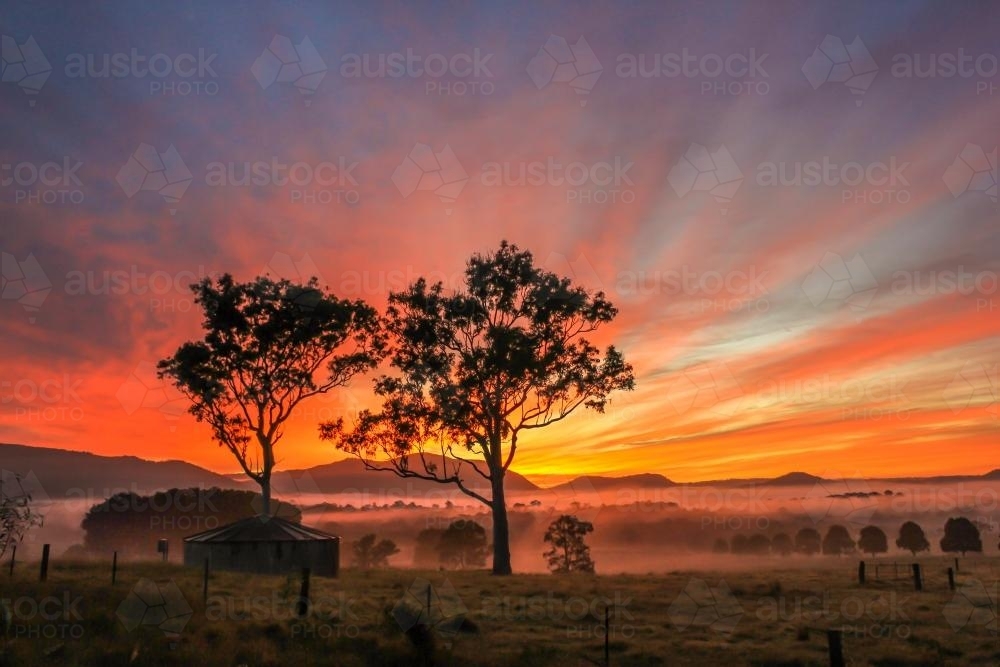 Morning sun rays over foggy valley - Australian Stock Image