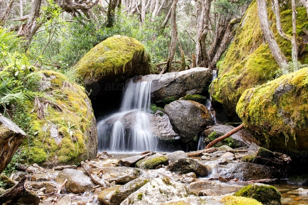 Mossy rocks and small waterfall in the wilderness - Australian Stock Image