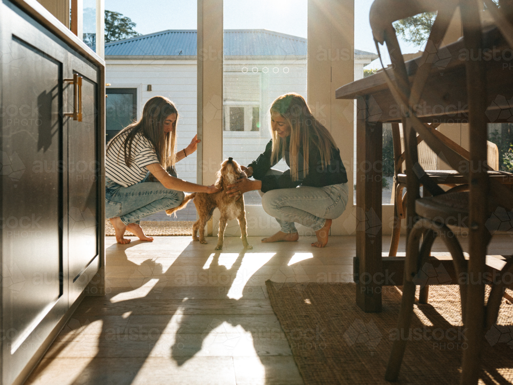 Mother and daughter petting their dog in the kitchen. - Australian Stock Image