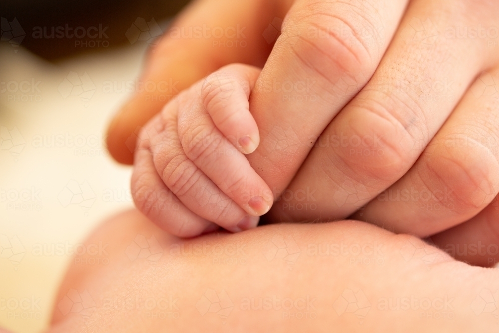 Mother's hand holding tiny newborn baby's hand - Australian Stock Image