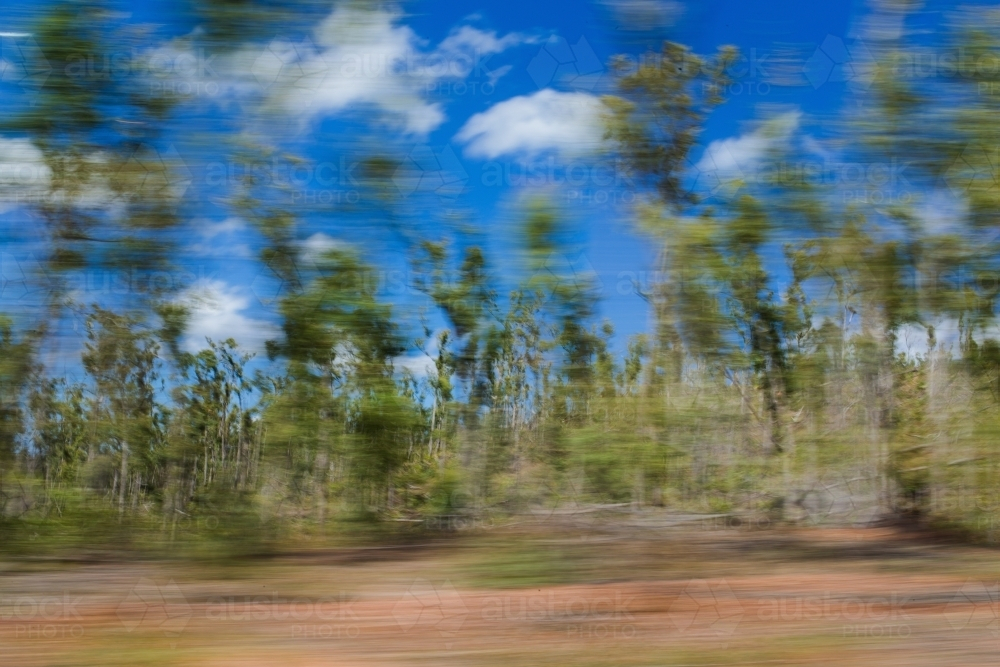 Motion blur shot of bushland - Australian Stock Image