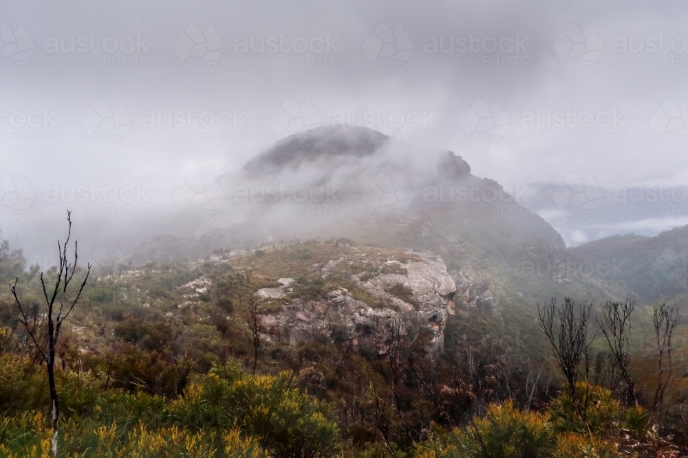 Mount Banks in the Blue Mountains shrouded in fog - Australian Stock Image