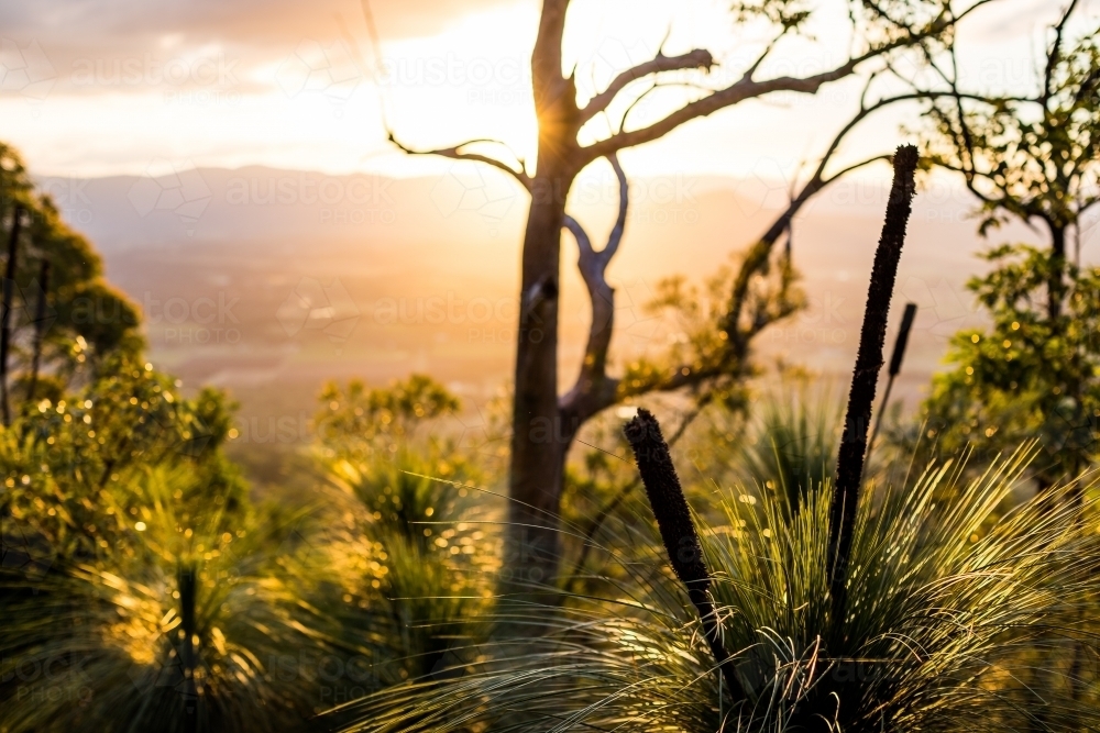 Mount French Sunset - Australian Stock Image