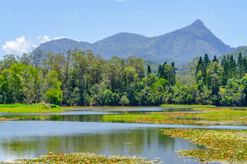 Mount Warning, Wollumbin, near Murwillumbah in northern New South Wales, Australia - Australian Stock Image