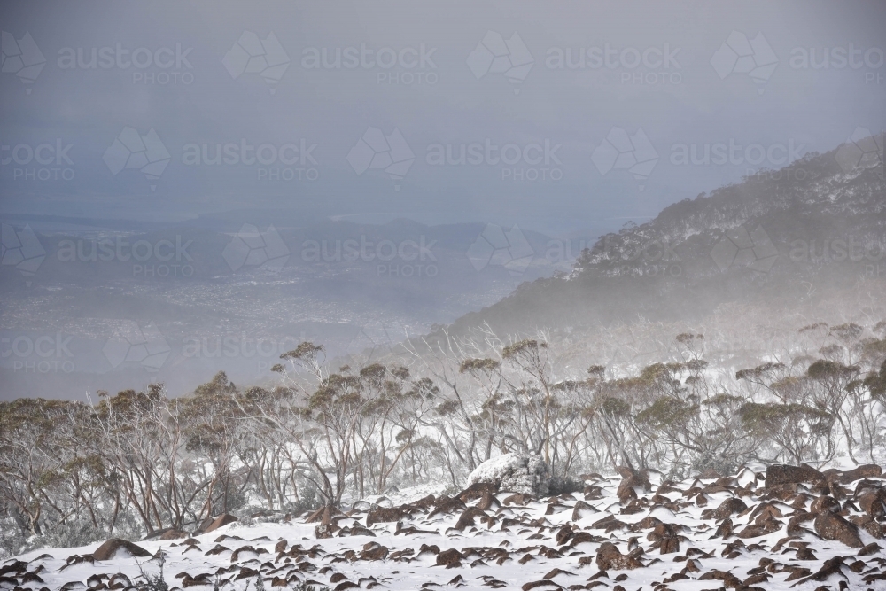 Mount Wellington,Tasmania summit views over Hobart on the snowy ,misty mountain - Australian Stock Image