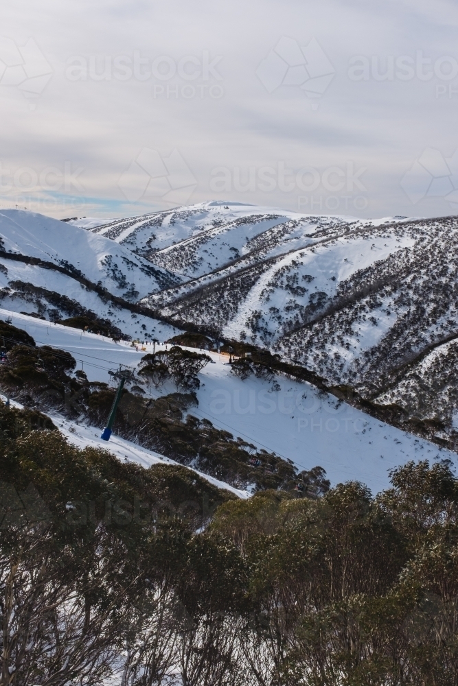 Image of mountain and trees at Mt Hotham in winter Austockphoto