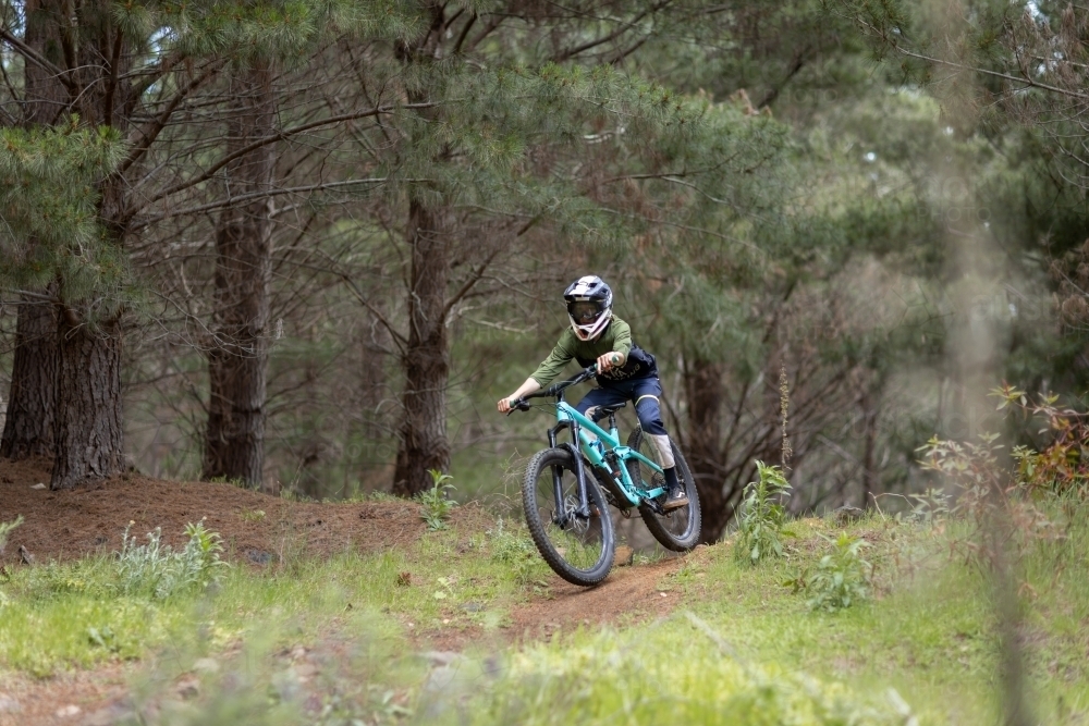 mountain bike rider riding trail out of pine forest - Australian Stock Image