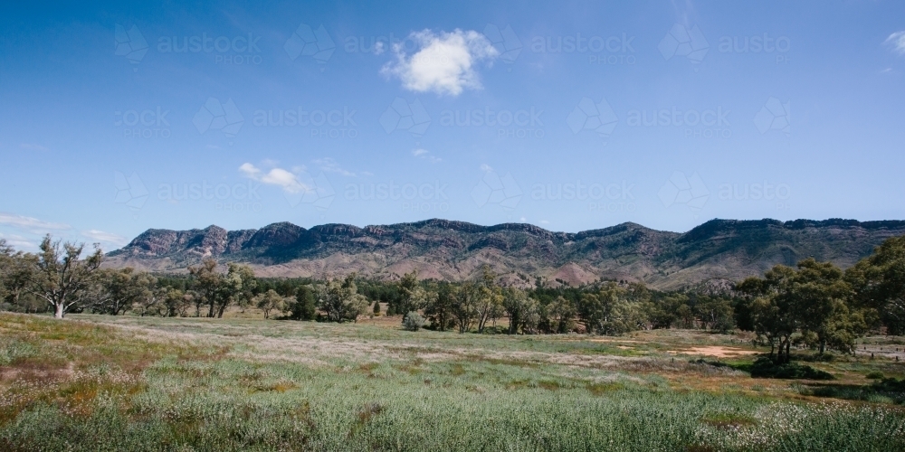 Image of Mountain landscape view of the Flinders Ranges - Austockphoto