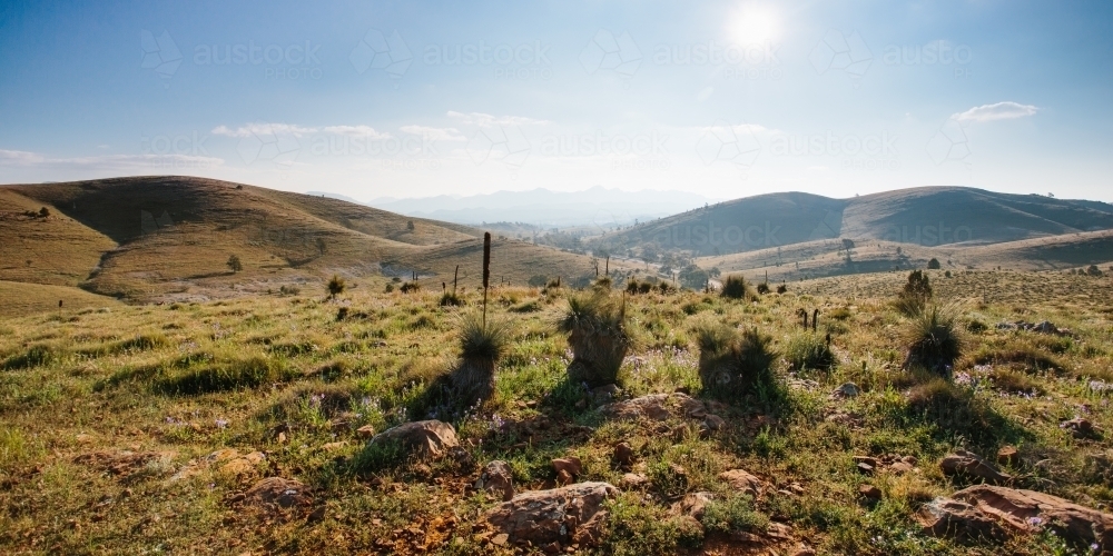 Mountain landscape view of the Flinders Ranges - Australian Stock Image