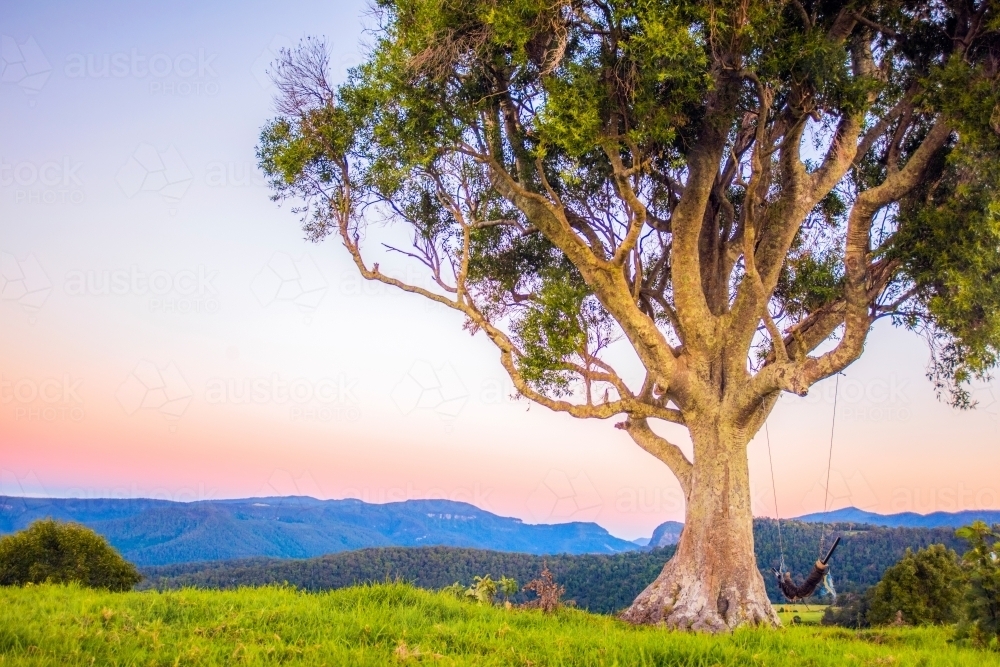 Mountain ranges with tree and swing hanging at the end of the day. : Austockphoto Mountain ranges with tree and swing hanging at the end of the day. - Australian Stock Image