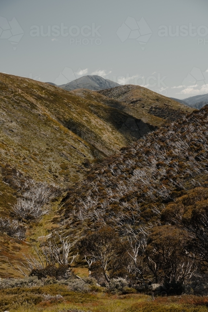 Mountain views at the start of the Razorback Hiking Trailhead to Mount Feathertop. - Australian Stock Image