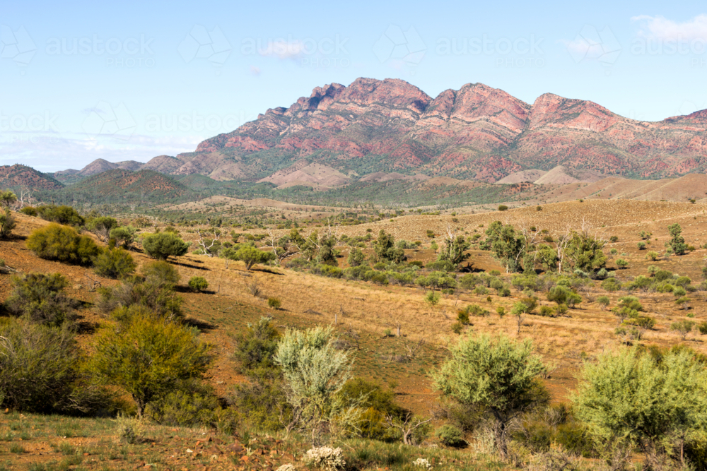 Mountains and arid landscape in the Flinders Ranges, South Australia - Australian Stock Image
