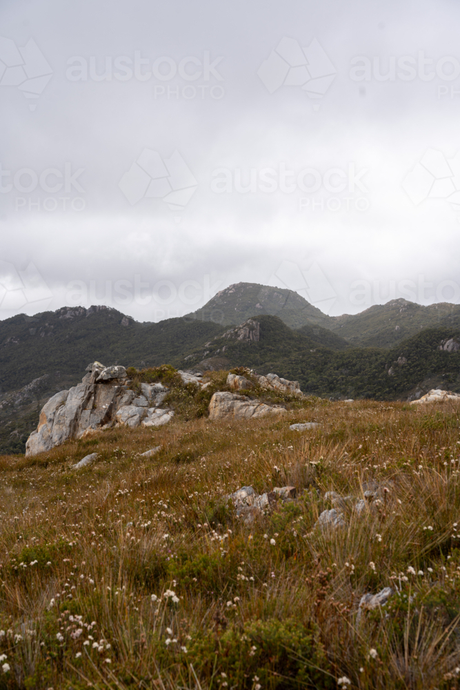 Mountains around Trial Harbour - Australian Stock Image