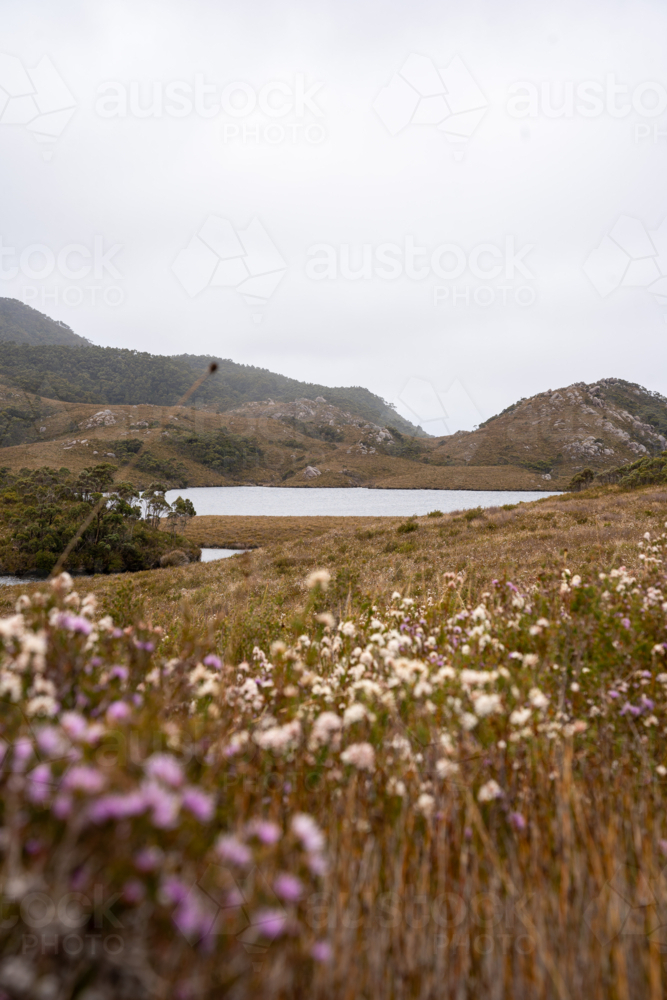 Mountains around Trial Harbour - Australian Stock Image
