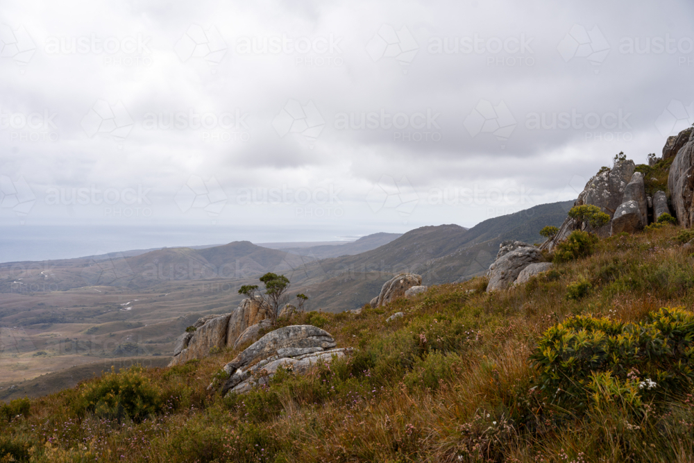 Mountains around Trial Harbour - Australian Stock Image