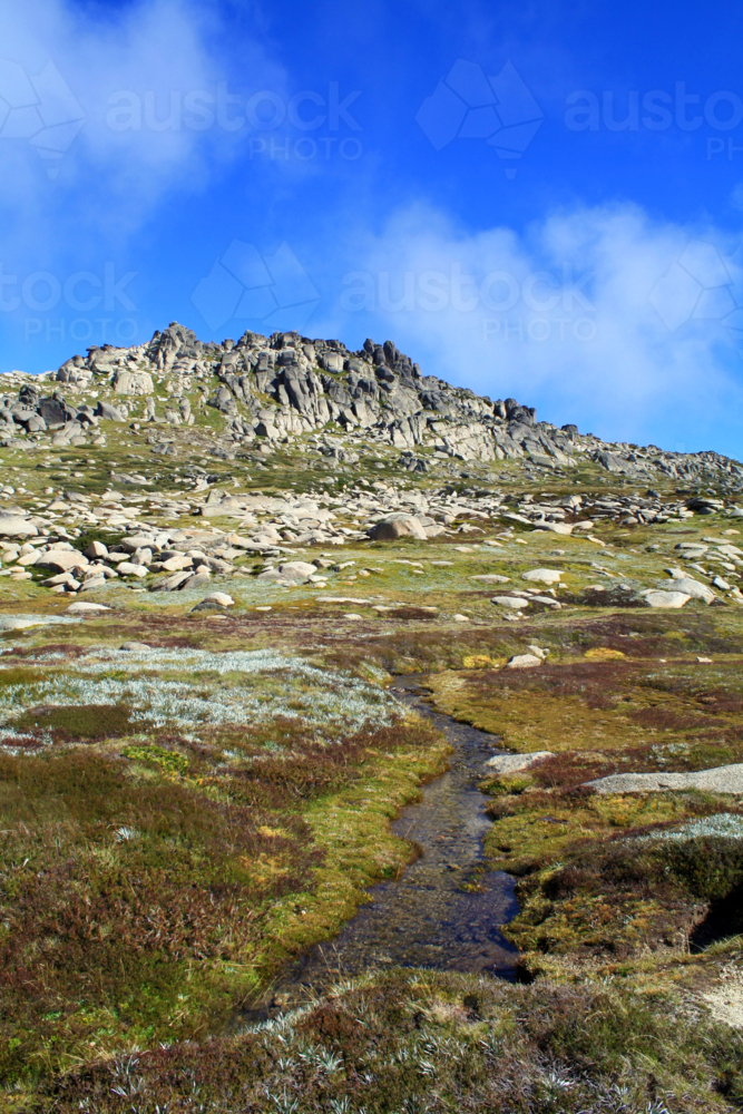 Mountains with small mossy river and blue sky - Australian Stock Image