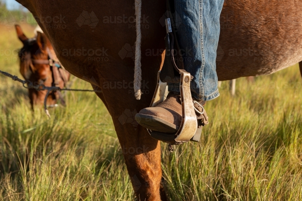 Mounted on the horse with his feet in the stirrups - Australian Stock Image