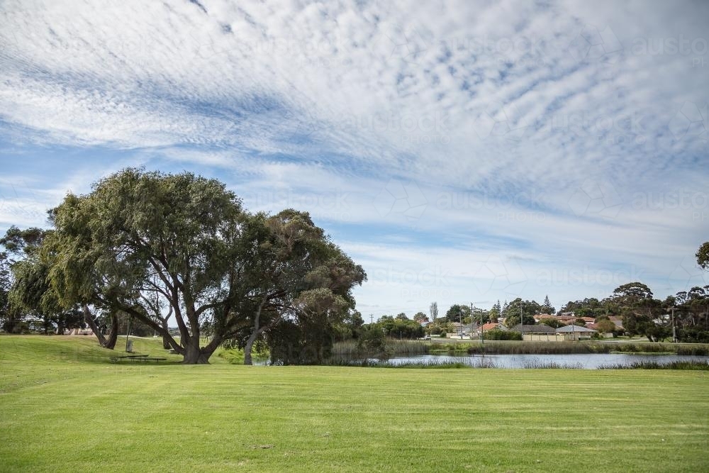 Mowed grass and lake in a park in a suburban setting - Australian Stock Image