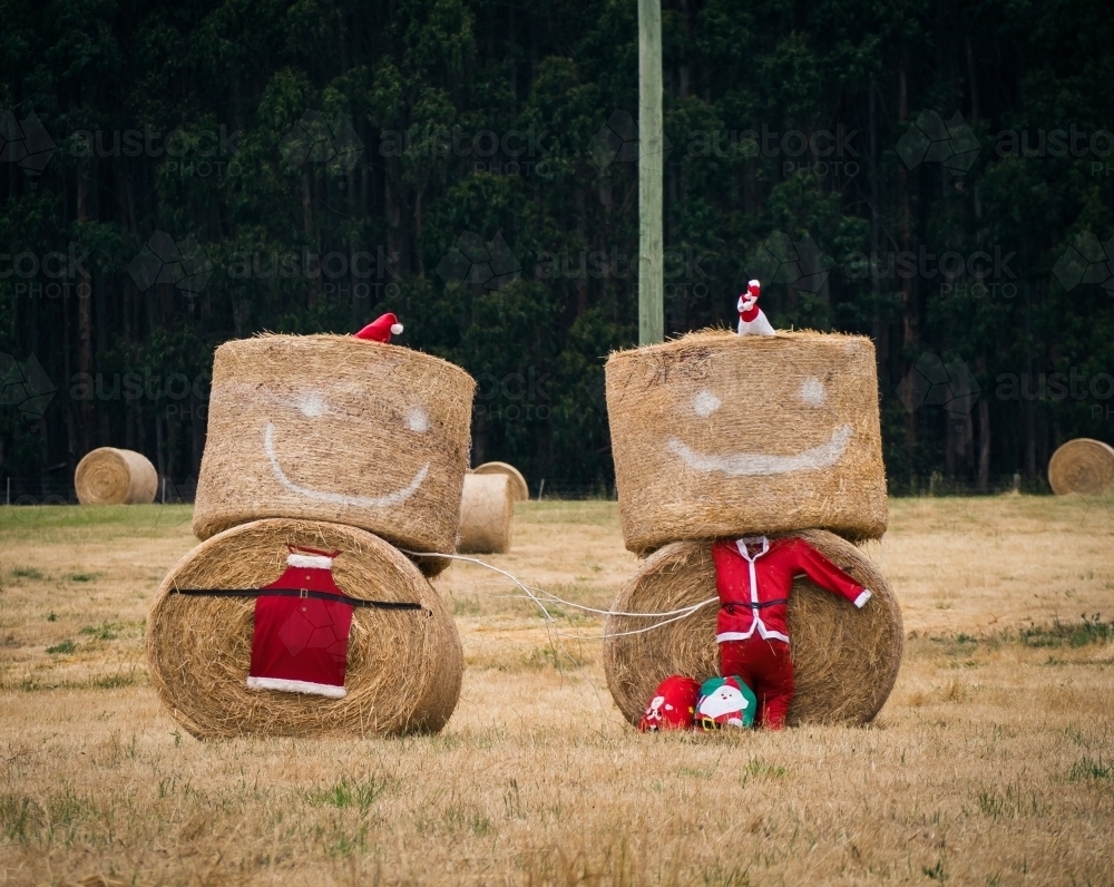 Mr and Mrs Christmas made from bales of hay decorations in paddock - Australian Stock Image