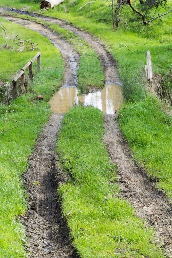 Muddy wheel tracks winding through puddles and green grass - Australian Stock Image