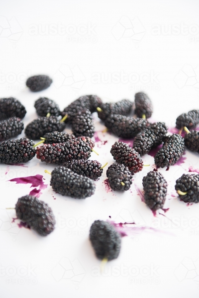 Mulberries - Australian Stock Image