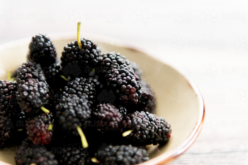 Mulberries In A Bowl - Australian Stock Image