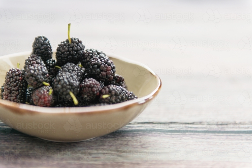 Mulberries In a bowl - Australian Stock Image