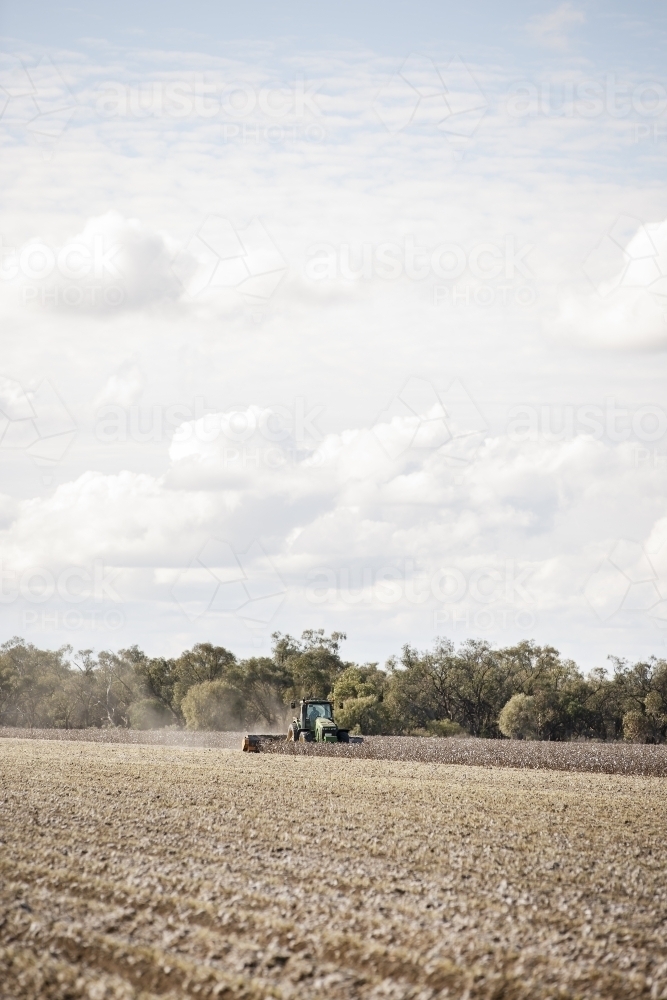 Mulching cotton stubble - Australian Stock Image