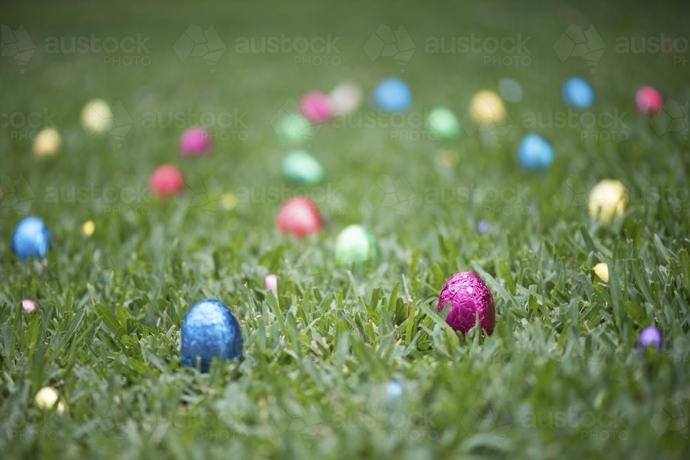 Multicoloured easter eggs in grass - Australian Stock Image