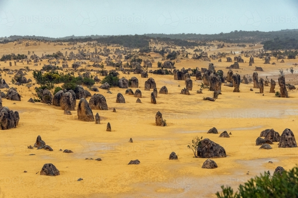 Multiple pinnacle rock formations cover the ground from a lookout area - Australian Stock Image