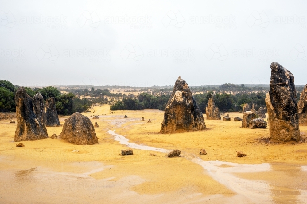 Multiple rock formations along a water covered pathway at the Pinnacles - Australian Stock Image
