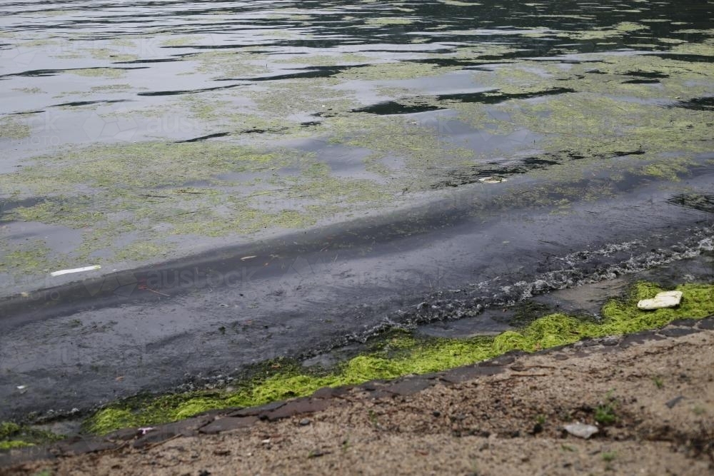 Murky shore - Australian Stock Image