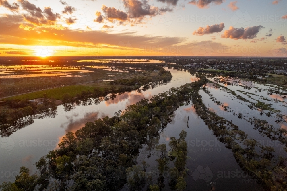 Murray River in flood - Australian Stock Image