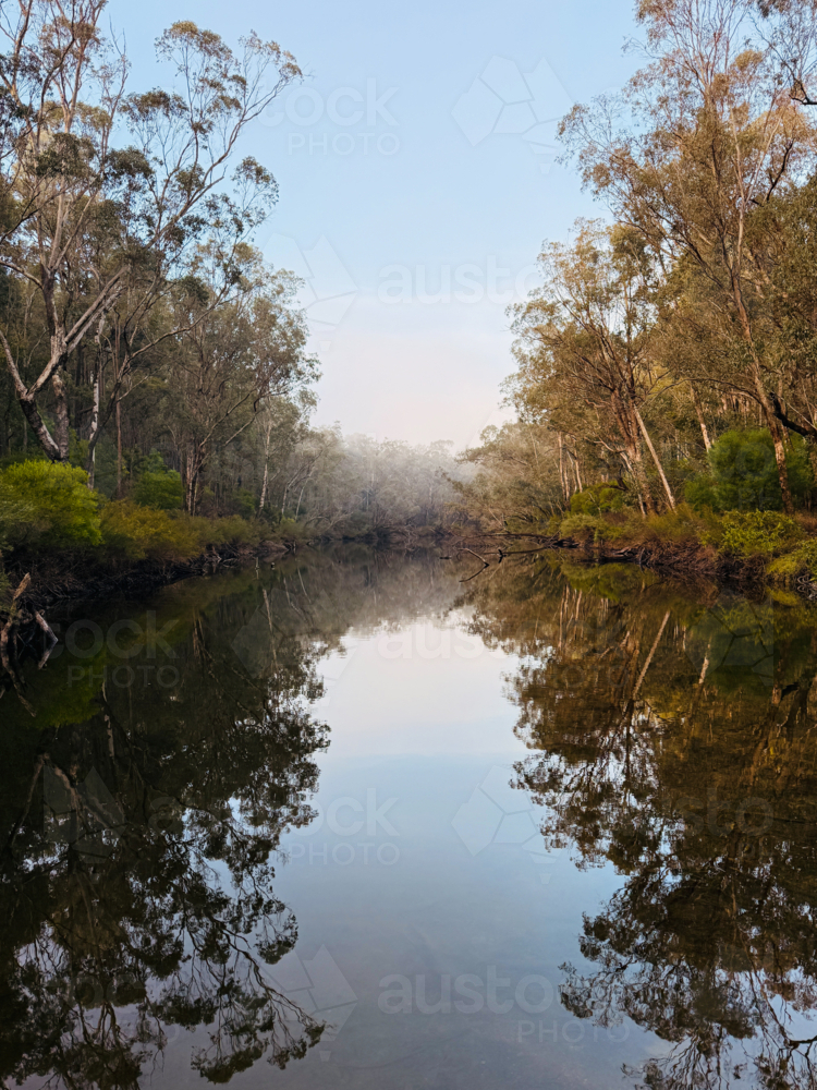 Murray River running through thick natural bushland at sunrise showing reflection on foggy sunrise - Australian Stock Image